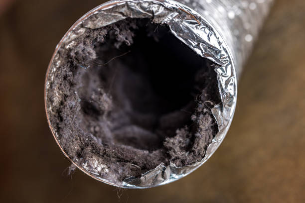 Best Duct Cleaning for Homes  in Fort Ashby, WV